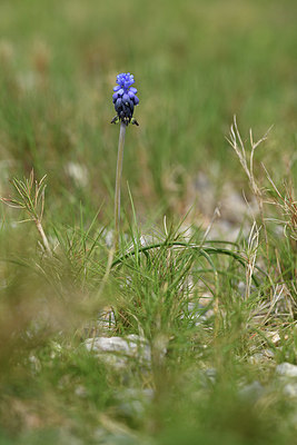 BUITEN BEELD Foto: 412887