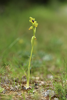 BUITEN BEELD Foto: 412888