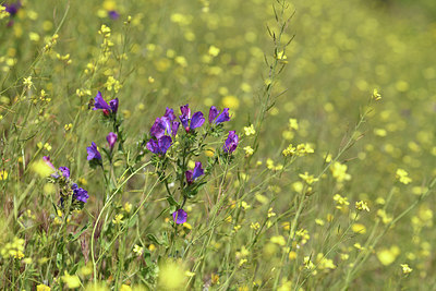 BUITEN BEELD Foto: 412894