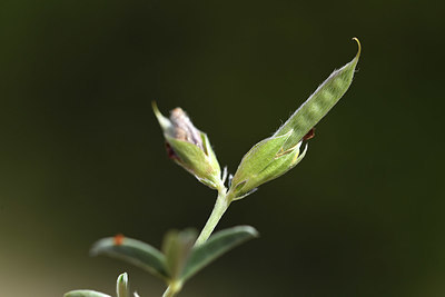 BUITEN BEELD Foto: 412897