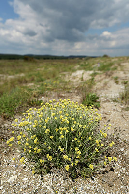 BUITEN BEELD Foto: 412906