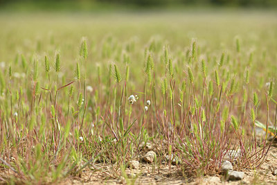 BUITEN BEELD Foto: 412912