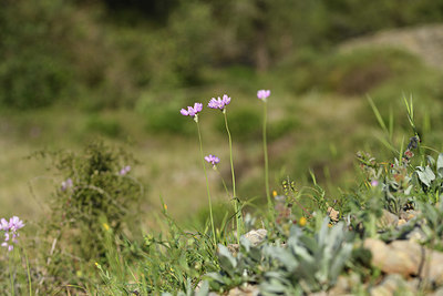 BUITEN BEELD Foto: 412930
