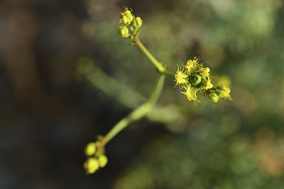 BUITEN BEELD Foto: 412940