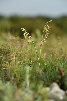 BUITEN BEELD Foto: 412955