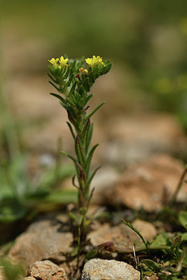 BUITEN BEELD Foto: 412964