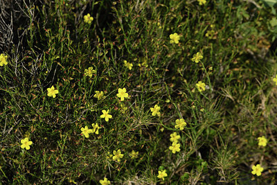 BUITEN BEELD Foto: 412974
