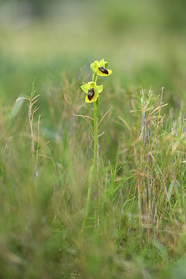 BUITEN BEELD Foto: 412995