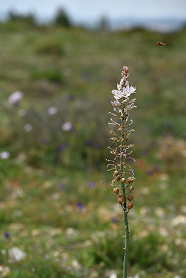 BUITEN BEELD Foto: 413000