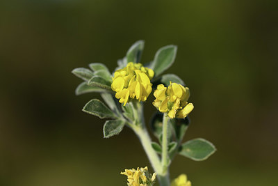 BUITEN BEELD Foto: 413003
