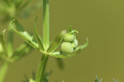 BUITEN BEELD Foto: 413004