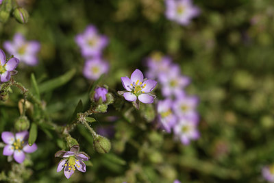 BUITEN BEELD Foto: 413018