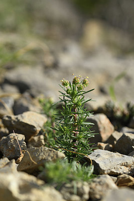 BUITEN BEELD Foto: 413019