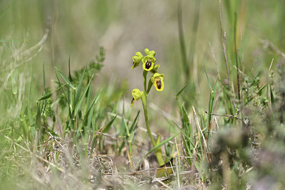 BUITEN BEELD Foto: 413021