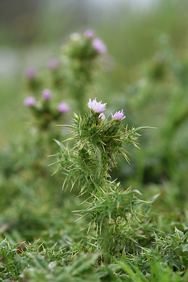 BUITEN BEELD Foto: 413022