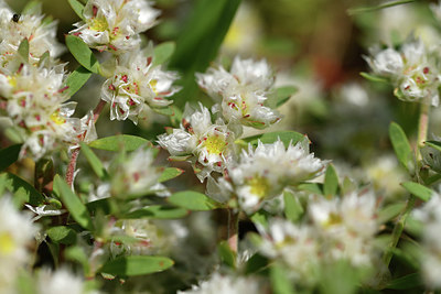 BUITEN BEELD Foto: 413062