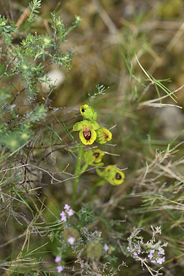 BUITEN BEELD Foto: 413076