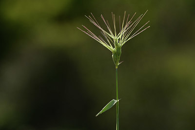 BUITEN BEELD Foto: 413078