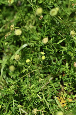 BUITEN BEELD Foto: 413082