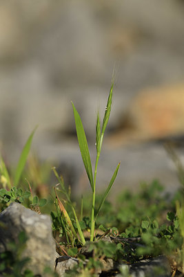 BUITEN BEELD Foto: 413085