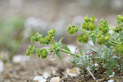 BUITEN BEELD Foto: 413090