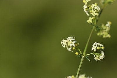 BUITEN BEELD Foto: 413095