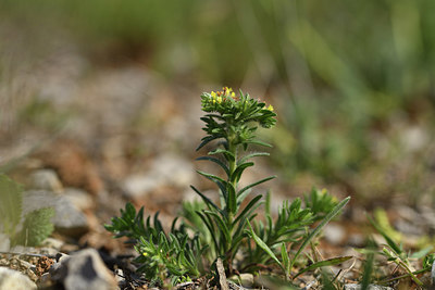 BUITEN BEELD Foto: 413096