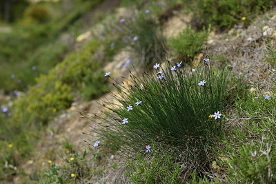BUITEN BEELD Foto: 413106