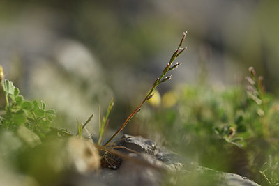 BUITEN BEELD Foto: 413112