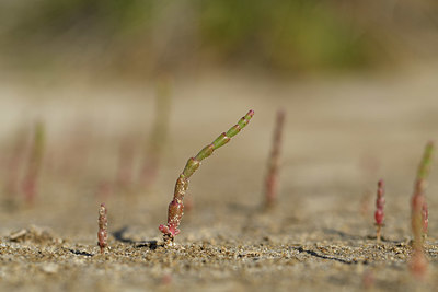 BUITEN BEELD Foto: 413118