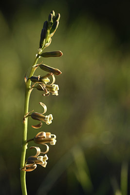 BUITEN BEELD Foto: 413125