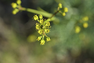 BUITEN BEELD Foto: 413130