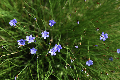 BUITEN BEELD Foto: 413132