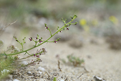 BUITEN BEELD Foto: 413140