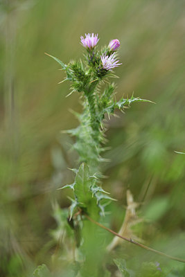 BUITEN BEELD Foto: 413149