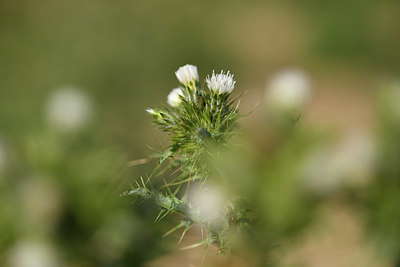 BUITEN BEELD Foto: 413153