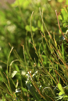 BUITEN BEELD Foto: 413171
