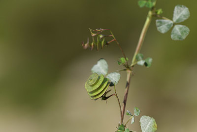 BUITEN BEELD Foto: 413176