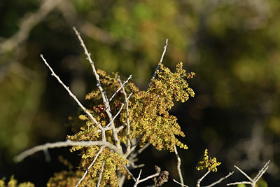 BUITEN BEELD Foto: 413177