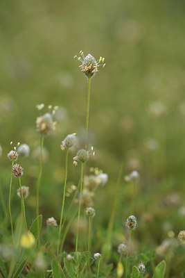 BUITEN BEELD Foto: 413194