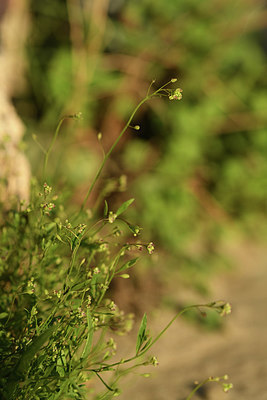BUITEN BEELD Foto: 413195