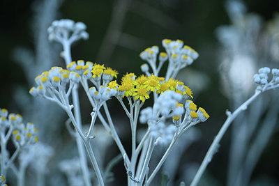 BUITEN BEELD Foto: 413199
