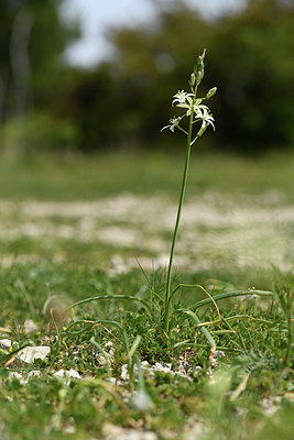 BUITEN BEELD Foto: 413200