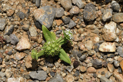 BUITEN BEELD Foto: 413204