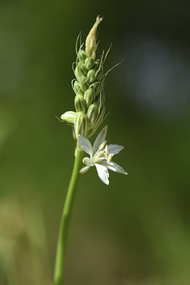 BUITEN BEELD Foto: 413206