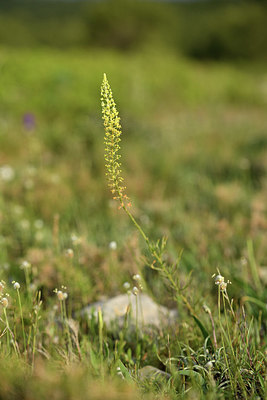 BUITEN BEELD Foto: 413211
