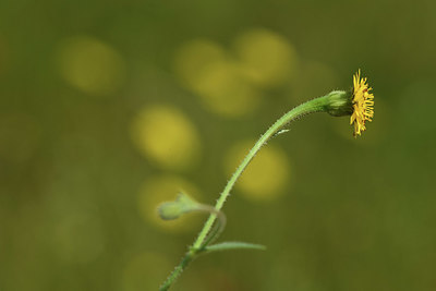 BUITEN BEELD Foto: 413212