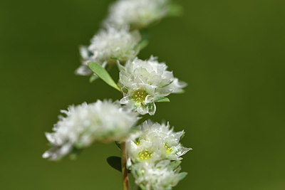 BUITEN BEELD Foto: 413215