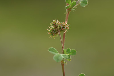 BUITEN BEELD Foto: 413216