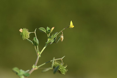 BUITEN BEELD Foto: 413223